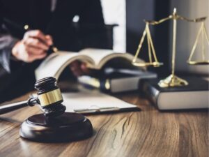 Understanding a Professional Law Corporation: What You Need to Know