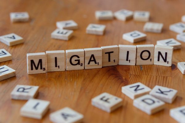 opt to h1b transition